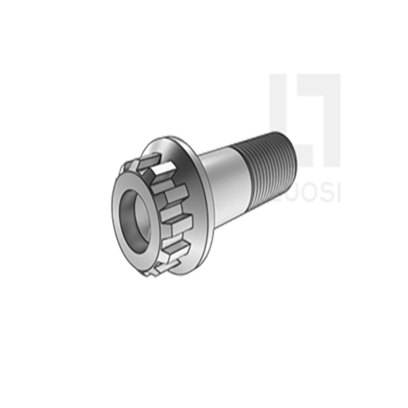 12 parafusos de dentes com flange